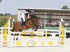 jumper Kantje's Wes (New Forest Pony, 2003, from Justice H.R.)