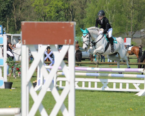 dressage horse Cessedy (German Riding Pony, 1998, from Constantin)