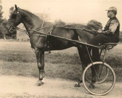 horse Egbertime (US) (American Trotter, 1885, from Egbert 1136 (US))