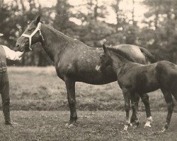 broodmare Jessie (US) (American Trotter,  , from Hambletonian 10 (US))