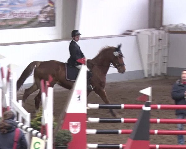 Reitturnier Münchehofe 2020