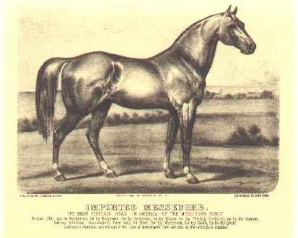 stallion Messenger xx (Thoroughbred, 1780, from Mambrino xx)