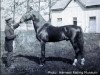 stallion Happy Medium 400 (US) (American Trotter, 1863, from Hambletonian 10 (US))