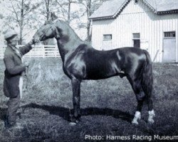 stallion Happy Medium 400 (US) (American Trotter, 1863, from Hambletonian 10 (US))