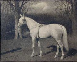 stallion Pilot Medium US-1597 (American Trotter, 1879, from Happy Medium 400 (US))