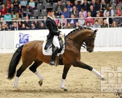 stallion Deveraux 3 (Hanoverian, 2007, from Depardieu 11)