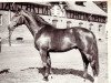 stallion Monolith (Hanoverian, 1965, from Marconi)