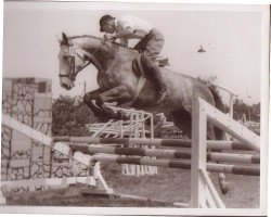 broodmare Forscherbotin (Hanoverian, 1957, from Folkmar)