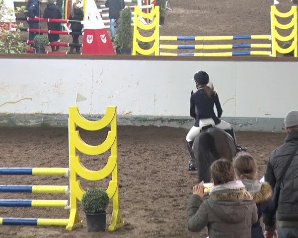 Reitturnier Münchehofe 2020