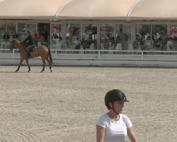 MET II Oliva - Woche 1 (ESP) 2020