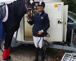 dressage horse Doris Day (Hanoverian,  , from Dancier)