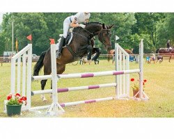 jumper Zoe 68 (Sachs-door. Heavy Warmbl., 2011, from Elixier)