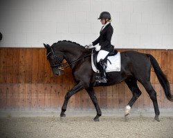 dressage horse Magic 236 (Rhinelander, 2007, from Mariso)