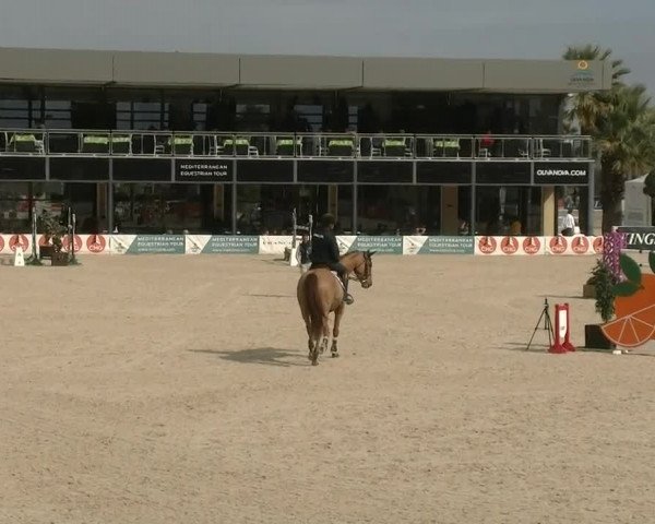 MET II Oliva - Woche 2 (ESP) 2020