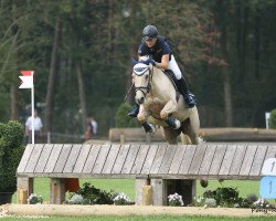 dressage horse Danny's Cream Cracker (German Riding Pony, 2009, from Danny Gold)