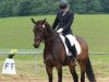 dressage horse Ditha (KWPN (Royal Dutch Sporthorse), 2008, from Sandreo)