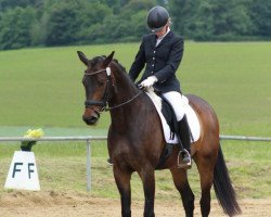 dressage horse Ditha (KWPN (Royal Dutch Sporthorse), 2008, from Sandreo)