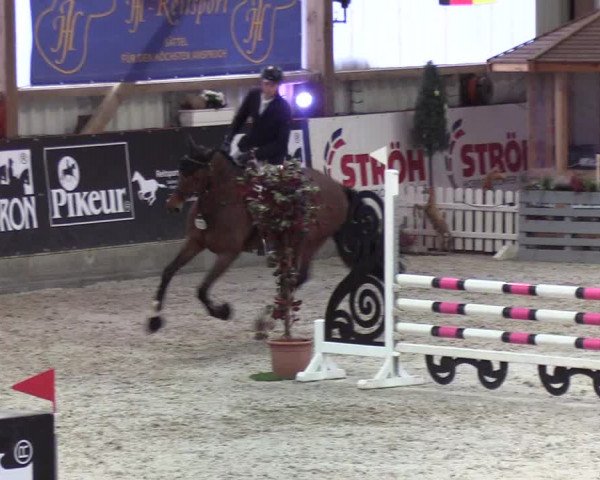 Nordic Jumping events 2020: Turnierergebnisse + Videos