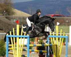 broodmare Zunne van Esch (KWPN (Royal Dutch Sporthorse), 2004, from Jumbo-Jet)