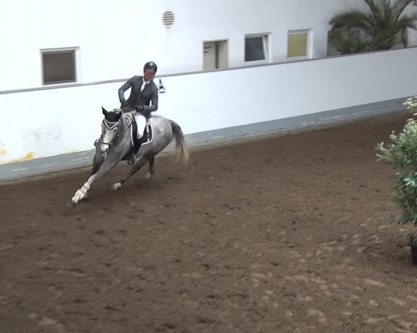 Reitturnier Münchehofe 2020