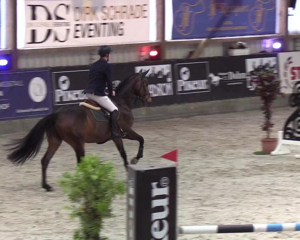 Nordic Jumping events 2020: Turnierergebnisse + Videos