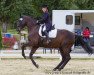 dressage horse World Hit (Oldenburg, 2001, from Welt Hit II)