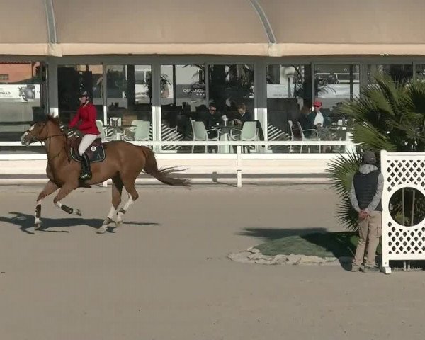 MET II Oliva - Woche 2 (ESP) 2020