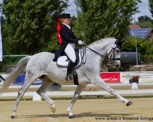 broodmare Lawana (Württemberger, 1999, from Lintas)