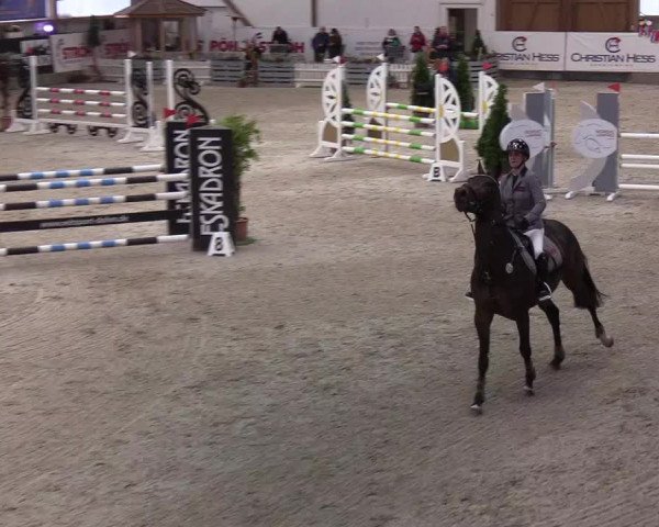 Nordic Jumping events 2020: Turnierergebnisse + Videos