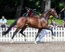 broodmare Felina (Rhinelander, 2017, from For Romance II)