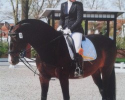 dressage horse Leslie (unknown, 1997)