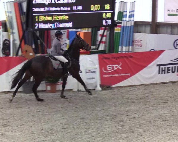 Nordic Jumping events 2020: Turnierergebnisse + Videos