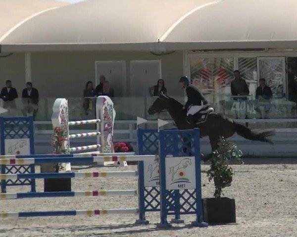 MET II Oliva - Woche 2 (ESP) 2020