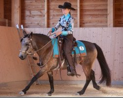 Pferd Kinzighausen Golden Finella (Connemara-Pony, 2002, von Glaskopf Golden Merlin)