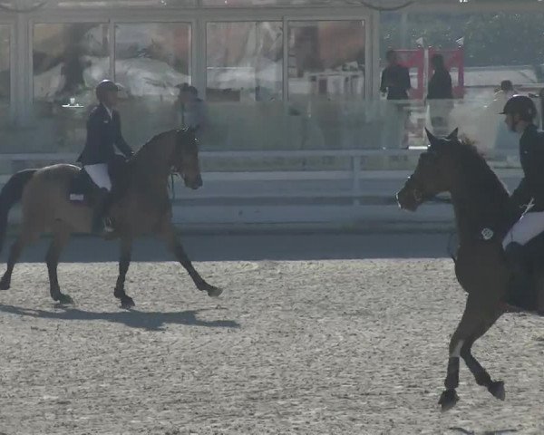 MET II Oliva - Woche 2 (ESP) 2020