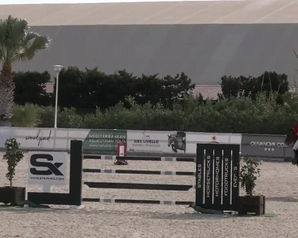 MET II Oliva - Woche 3 (ESP) 2020