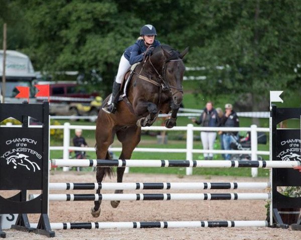 Springpferd Stakkamo af Sol (Schwedisches Warmblut, 2010, von Stalypso)