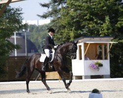 dressage horse Roksanna S (Hanoverian, 2003, from Rotspon)