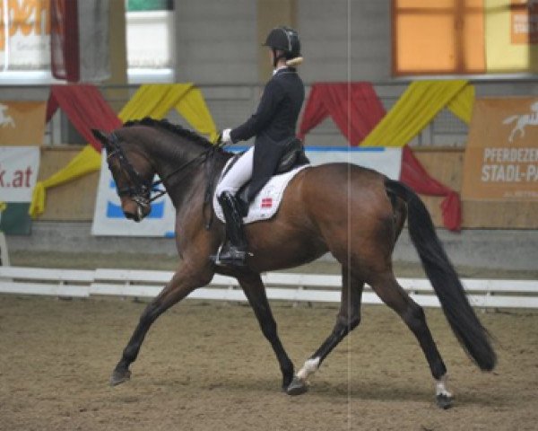 dressage horse Ramia Lox (Danish Warmblood, 2005, from Glock's Romanov)