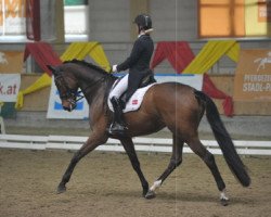 dressage horse Ramia Lox (Danish Warmblood, 2005, from Glock's Romanov)