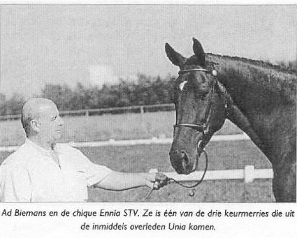 Zuchtstute Ennia STV (Koninklijk Warmbloed Paardenstamboek Nederland (KWPN), 1986, von Variant)
