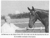 Zuchtstute Ennia STV (Koninklijk Warmbloed Paardenstamboek Nederland (KWPN), 1986, von Variant)