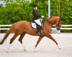 dressage horse Kiringa 2 (Oldenburg, 2006, from Smetana)