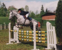 Zuchtstute Desiree XIX CH (Schweizer Warmblut, 1990, von Rivaal)