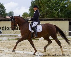 dressage horse Finess 171 (Hanoverian, 2006, from Fidertanz)