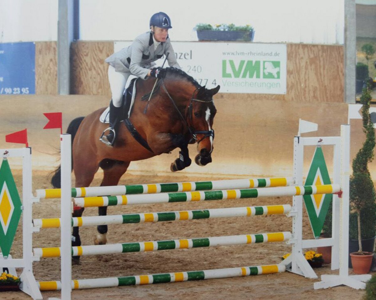 Springpferd Casillas CH (Westfale, 2010, von Cassini II)