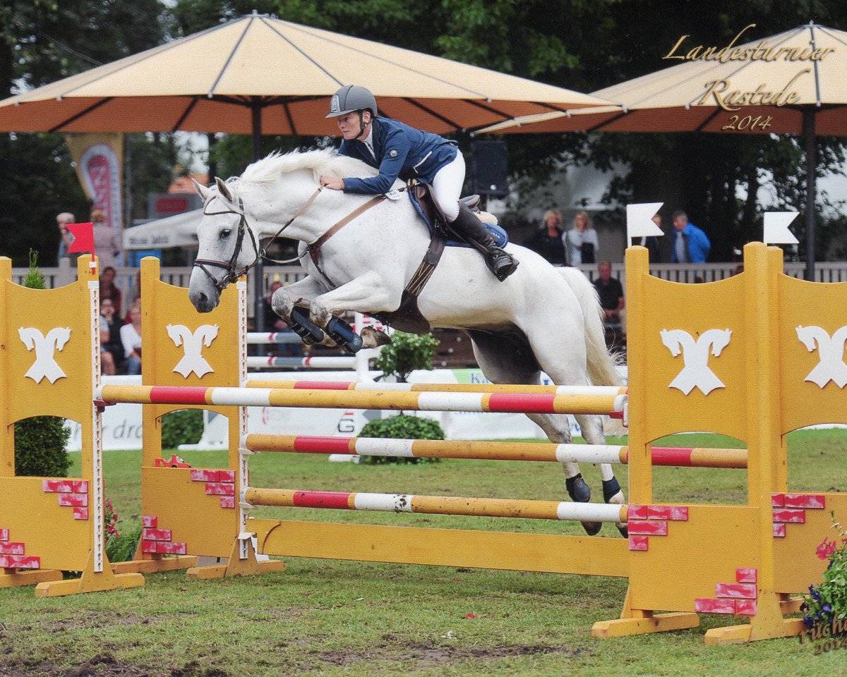 jumper Lucky 1504 (Mecklenburg, 2006, from Lasirko)