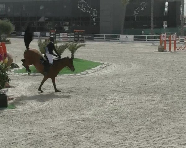 MET II Oliva - Woche 3 (ESP) 2020
