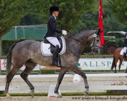 Dressurpferd Dinarobin (Deutsches Sportpferd, 2010, von Delamanga)