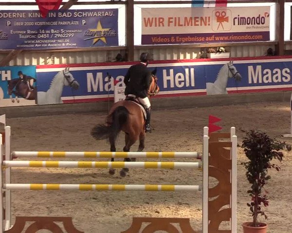 Nordic Jumping events 2020: Turnierergebnisse + Videos